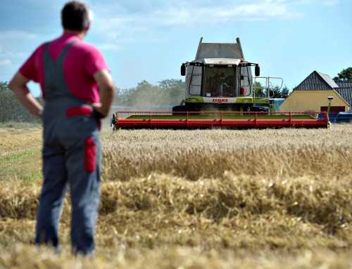Δανία: Οι αγρότες ανησυχούν ότι ο φόρος για τις εκπομπές άνθρακα θα μειώσει την παραγωγή