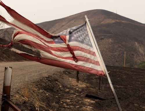 ΗΠΑ: Ανεξέλεγκτες πυρκαγιές καίνε δάση σε Καλιφόρνια, Όρεγκον