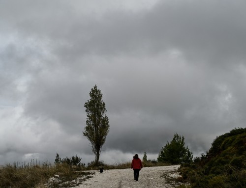 Κακοκαιρία Atena: Πώς κινείται – Επικαιροποίηση του έκτακτου δελτίου της ΕΜΥ