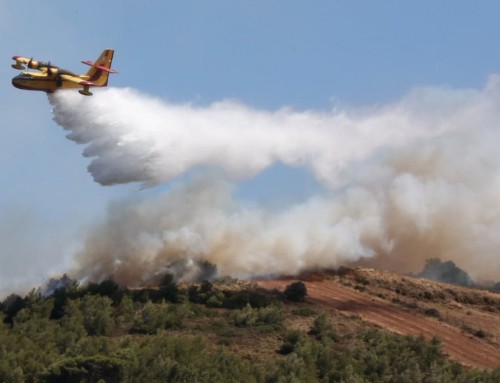Πέλλα: Μαίνεται η φωτιά στο όρος Πάικο – Σηκώθηκαν εναέρια