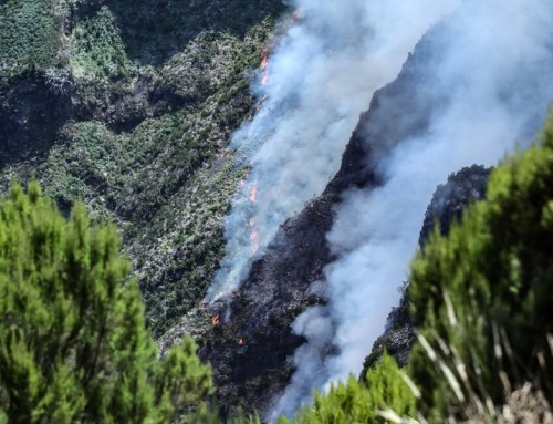 Πορτογαλία: 20 ενεργές εστίες πυρκαγιάς το Σαββατοκύριακο – Κάηκαν σπίτια