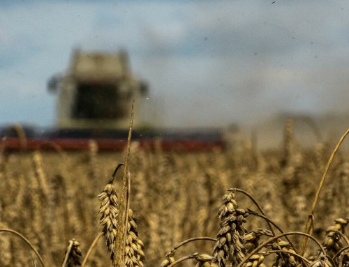 Πώς οι Ουκρανοί αγρότες χρησιμοποιούν την κάλυψη του πολέμου για να ξεφύγουν από τους φόρους