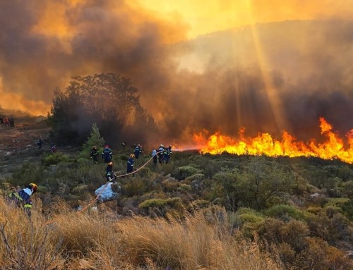 Υψηλός κίνδυνος πυρκαγιάς και σήμερα: Σε πορτοκαλί συναγερμό αρκετοί νομοί της χώρας
