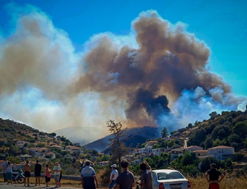 Φωτιά στην Εύβοια: Κοντά στο χωριό Κριεζά οι φλόγες – Σκηνικό τεράστιας καταστροφής στο δάσος (βίντεο, φωτογραφίες)