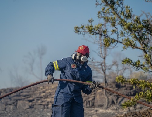 Φωτιά τώρα στην Πάστρα Κεφαλονιάς: Ήχησε το 112 – «Παραμείνετε σε ετοιμότητα»